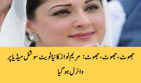 Maryam Nawaz Ka Neya Tweet Social Media Per Viral Daily Pakistan Urdu